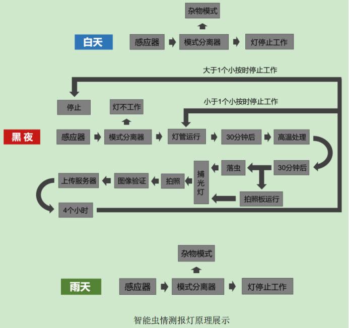 虫情测报仪